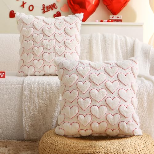 Valentine's Day Heart Pillow Covers - Set of 2 Red 18x18 Inch Plush Cases