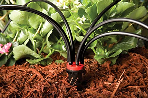 Rain Bird 6-Port Drip Irrigation Manifold, 2 GPH, 1/2" NPT x 1/4" Drip (Pack of 2)