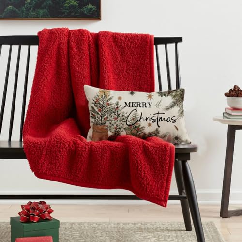 ARGOOGF Waterproof Christmas Outdoor Pillow Cover 12x20 Inches - Eucalyptus Berries Decor, Pack of 1