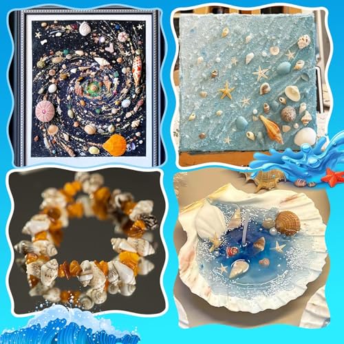 2000 PCS Natural Mini Sea Shells & 20 Starfish for Crafts and Vase Fillers