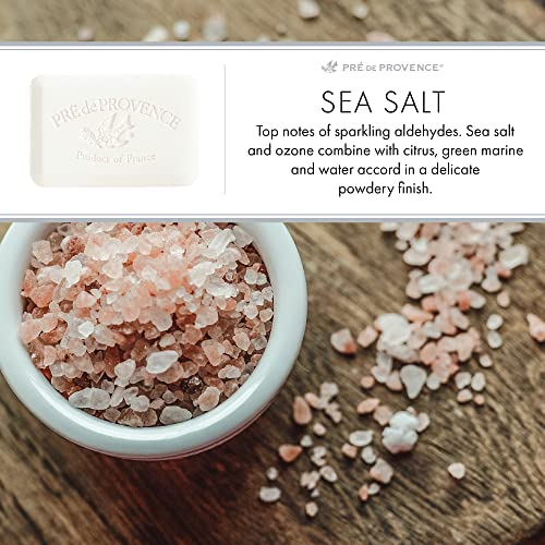 Pre de Provence Artisanal French Soap Bar, Sea Salt, 5.3 Ounce