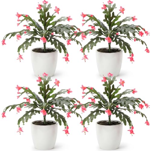 Artificial Christmas Cactus Plants - 4 Pink Silk Faux Flowers, 16 Leaves Variation