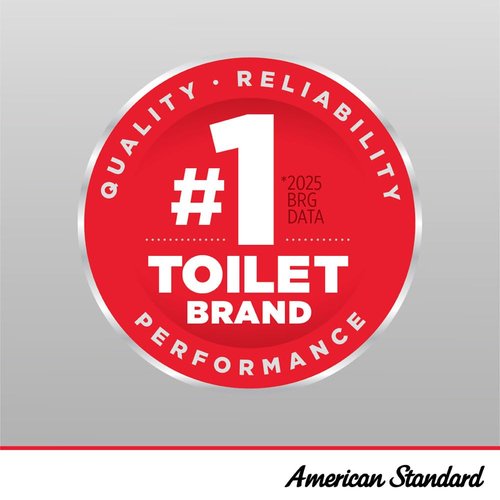 American Standard 5901100.020 Commercial Elongated Open Front Toilet Seat with Stainless Steel Hinge, White