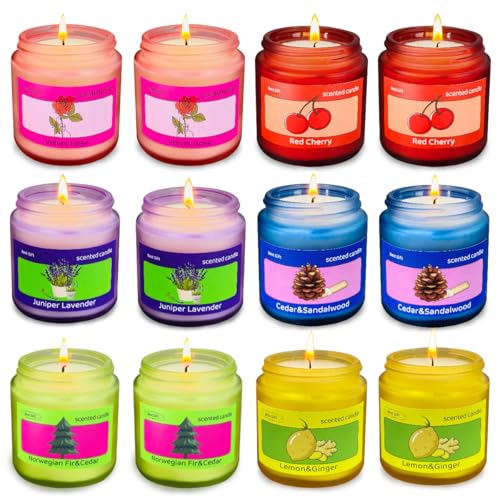 Set of 12 Scented Soy Candles in Frosted Glass Jars for Home & Gift