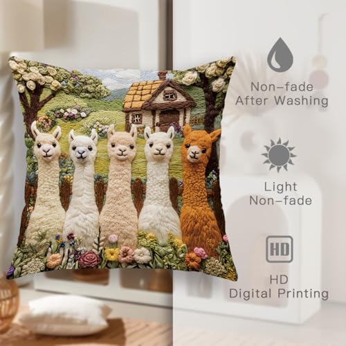 Llama Decorative Velvet Throw Pillow Covers, 20x20 Inch Set of 2