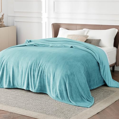 Bedsure Queen Flannel Fleece Bed Blanket - Soft Lightweight Plush, River Blue