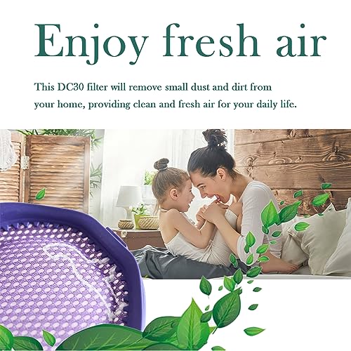Dyson Vacuum Filter Replacement Set for DC30 DC31 DC34 DC35 DC44 DC45 DC56 - 2 Washable Pre-Filters