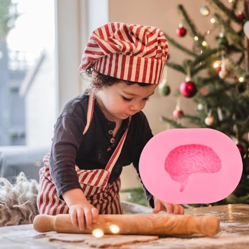 Brain Silicone Molds - 2 Pcs Human Organs Dessert Molds
