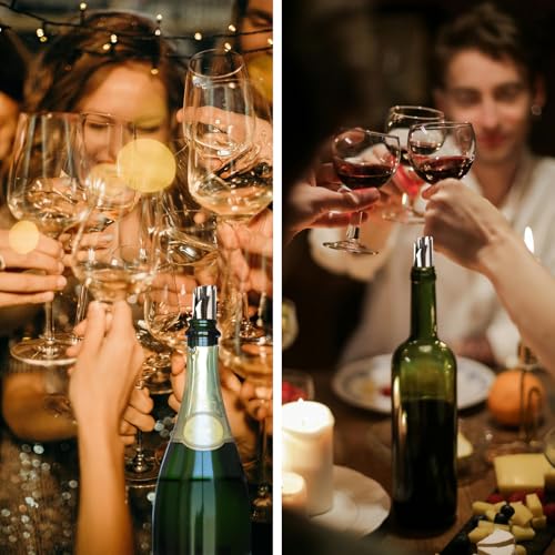 Silver Wine Pourer Discs - Drip-Free Reusable Pouring Spouts