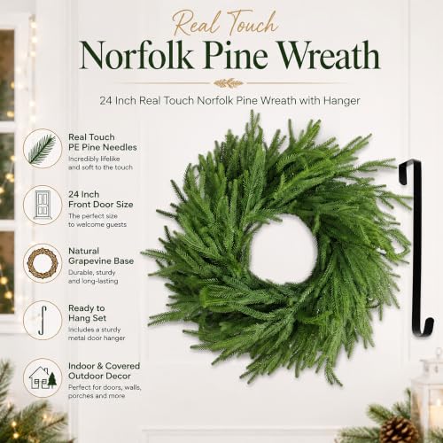 24 Inch Real Touch Norfolk Pine Wreath with Grape Vine Base and Hanger