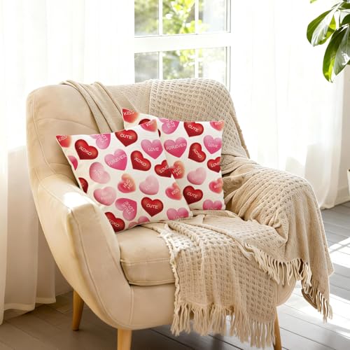 Valentine Throw Pillow Covers 18x18 Set of 2 Soft Polyester Heart Print