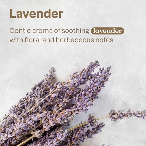ATTITUDE Air Purifier with Activated Carbon, Lavender, 8oz (Pack of 2)