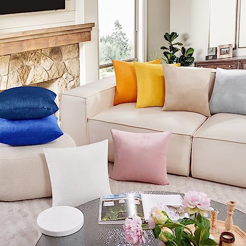 Deconovo Navy Blue Velvet Throw Pillow Covers | 24x24 Inch, 2 Pack