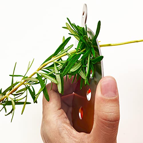 Stainless Steel Herb Stripper Tool with 10 Holes for Kitchen Use