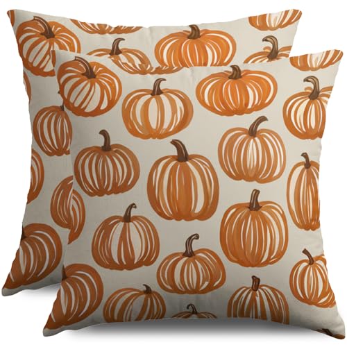 Fall Thanksgiving Pillow Covers Set of 2 - 18x18 Burnt Orange Pumpkin