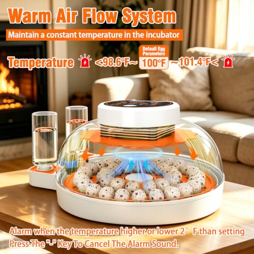 ONKO Automatic Quail Egg Incubator with Humidity & Egg Turning