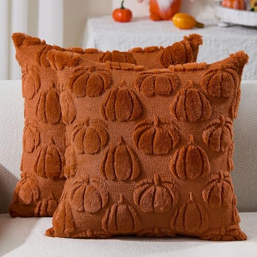DFXSZ Rust Fall Throw Pillow Covers 18x18, Soft Plush Set of 2
