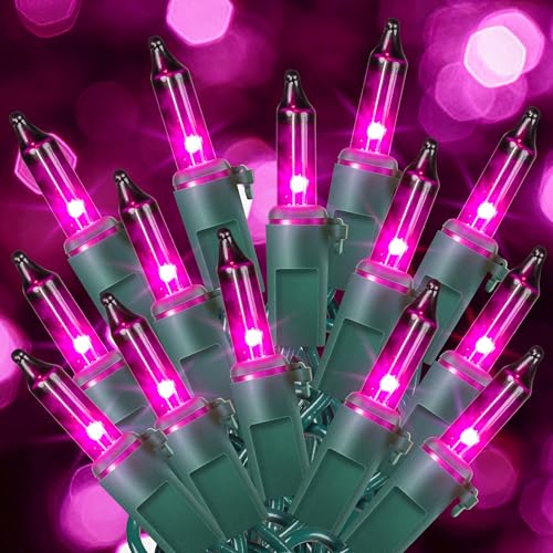 Purple Halloween Mini String Lights 2 Pack, 50 Count, 13FT Green Wire - Decorative Indoor & Outdoor Lighting