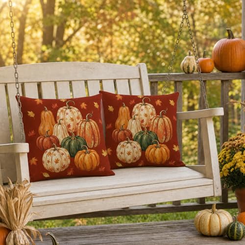 Fall Pumpkin Pillow Covers 18x18 - Set of 2 for Cozy Decor