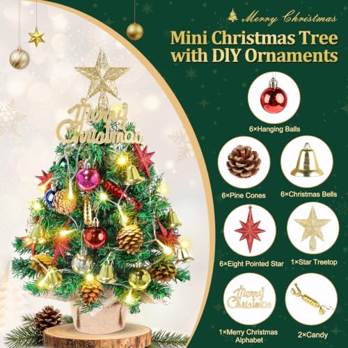 Mini Christmas Tree with Lights & Star Topper - Octagonal Star Variation 21.65in
