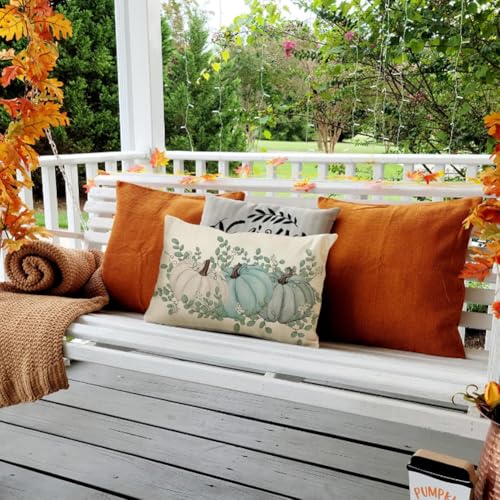 RABUSOFA Fall Pillow Cover 12x20 Aqua Pumpkin Autumn Decor - Multicolor