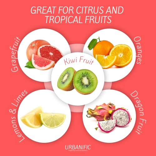Grapefruit Spoons – Serrated Stainless Steel Fruit Spoons, 2-Pack