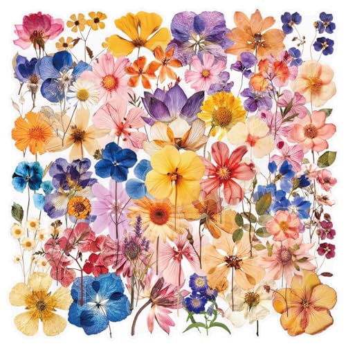 50 Pcs Waterproof Pressed Dried Flower Stickers for Journaling
