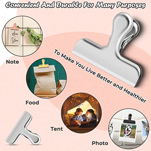 Stainless Steel Chip Clips - 6 Pack Heavy Duty Bag Clips for Food Storage