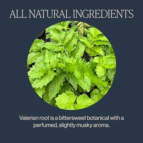 Valerian Dream Organic Herbal Tea Bags - Caffeine Free, 15 Count