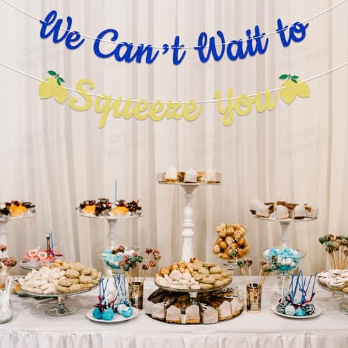 We Can't Wait To Squeeze You Banner | Italian Lemon Baby Shower Decor