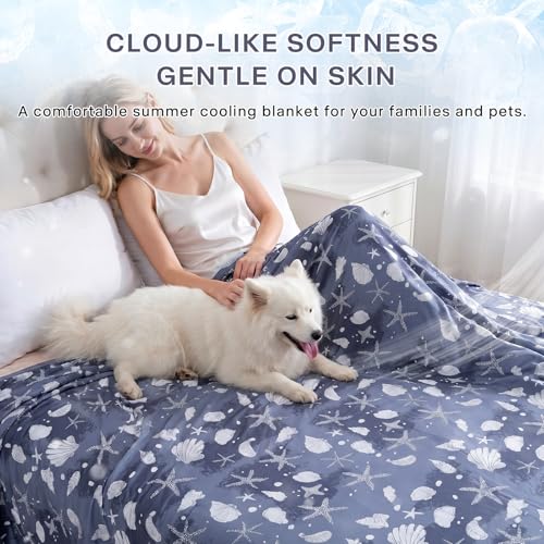 DreLunis Twin Size Cooling Blanket 60"x90" - Dual-Sided for Summer