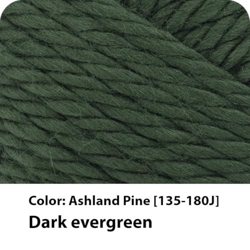 Lion Brand Hometown Yarn - Super-Bulky Acrylic Yarn, Ashland Pine, 1 Pack
