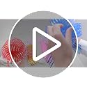 6 Large Blue Organza Pull Bows for Gift Wrapping & Decorations