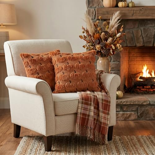AVOIN colorlife Caramel Fall Throw Pillow Covers 18x18, Set of 2