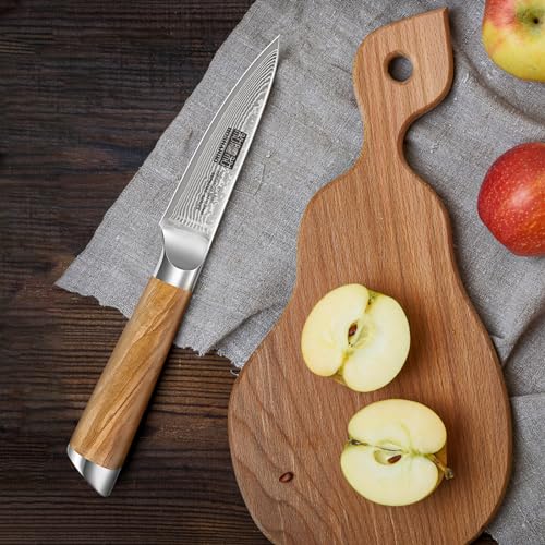 HOSHANHO Damascus Paring Knife 3.75 Inch Sharp Japanese HC Steel Fruit Knife - Unique Damascus Pattern