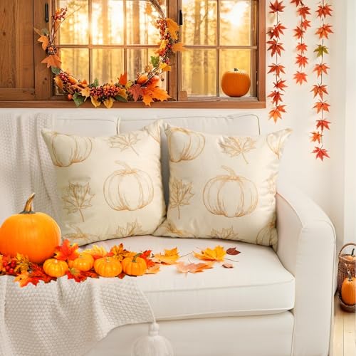 Faylapa Set of 2 Beige Fall Pillow Covers 18x18 Inch for Thanksgiving