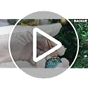 Glitzy Sea Turtle Christmas Ornament with Rhinestones - Beach Decor