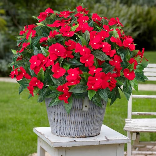 5 Pcs UV Resistant Artificial Impatiens Flowers for Outdoors