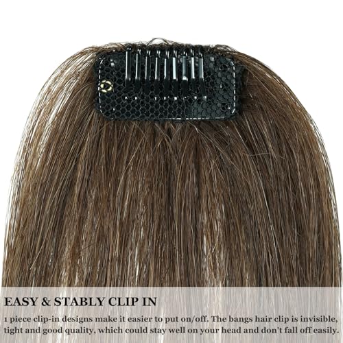 DILUSILK Remy Human Hair Clip-In Wispy Bangs with Side Temples Brown