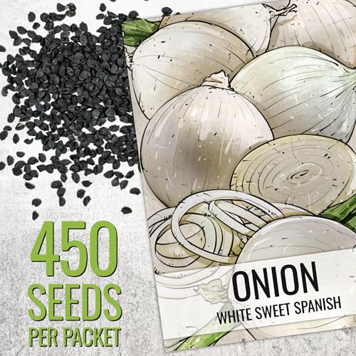 White Sweet Spanish Onion Seeds - Heirloom, 1 Pack for Planting
