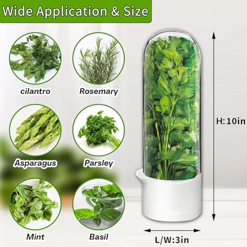 Herb Saver for Refrigerator - Fresh Herb Keeper Container for Cilantro, Parsley, Mint, Asparagus
