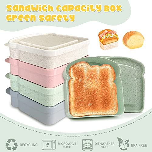 Reusable Sandwich Containers for Lunch - BPA-Free, Microwave Safe