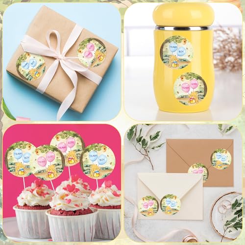 BOpusail 500Pcs Blue-Pink Cartoon Winnie Gender Reveal Stickers 2-inch Party Labels