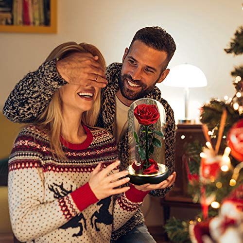 LED Preserved Rose Flower Gift - Christmas Rose with Warm Lights, Glass Dome, Forever Flowers for Women