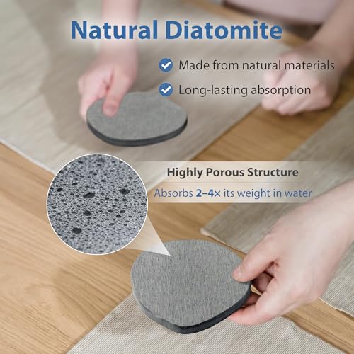 Diatomite Coasters - Fast Drying Absorbent Stone Coasters (4 Pack)