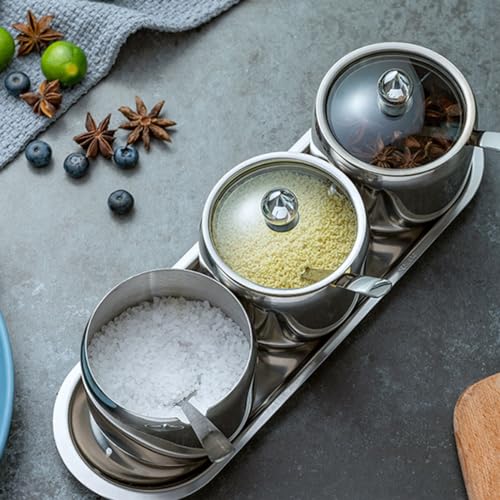 Cheeren 10oz Stainless Steel Spice Jar with Spoon and Clear Lid