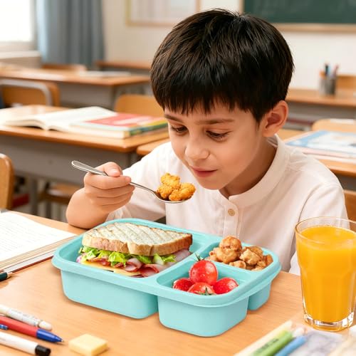 4 Pack Reusable 3-Compartment Lunch Box Set - Light Color