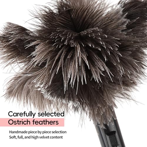 Retractable Ostrich Feather Duster, 15in Eco-Friendly Cleaning Tool