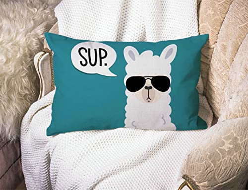 Funny Llama Lumbar Throw Pillow Cover 12x20 Inch - Decorative Cushion Case