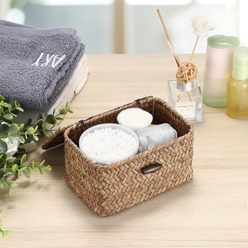 Hipiwe Handwoven Seagrass Basket with Lid - Mini Storage Organizer